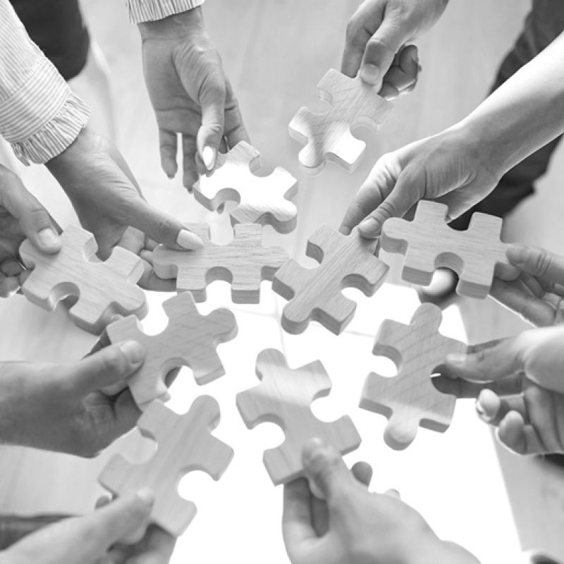 Team-Puzzle-Prowit